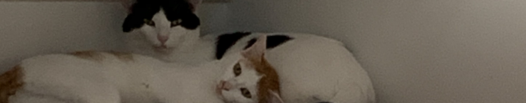 タローちゃんさんのホーム