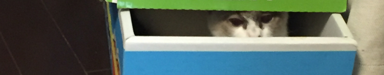 ちゃーたさんのホーム