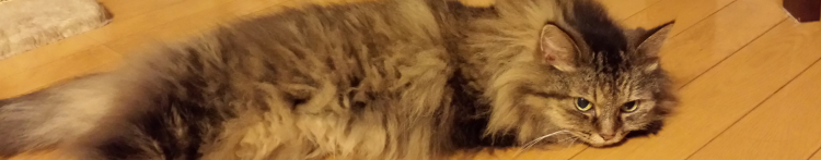 fumie1さんのホーム