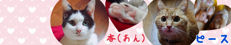 ããŒã¹&æããã®ããŒã