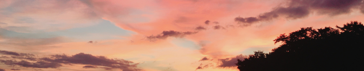 kimikaさんのホーム