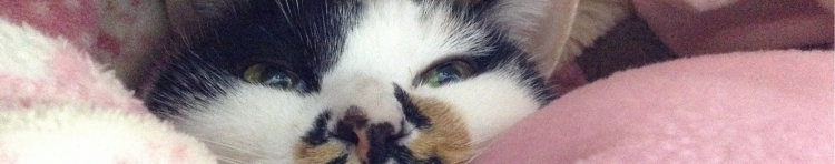 dancermichiさんのホーム