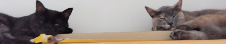 コハイロさんのホーム