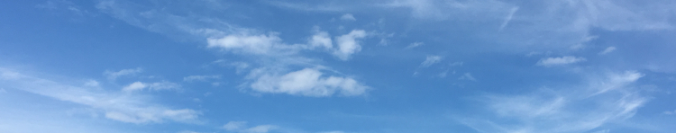 えみたぬきさんのホーム