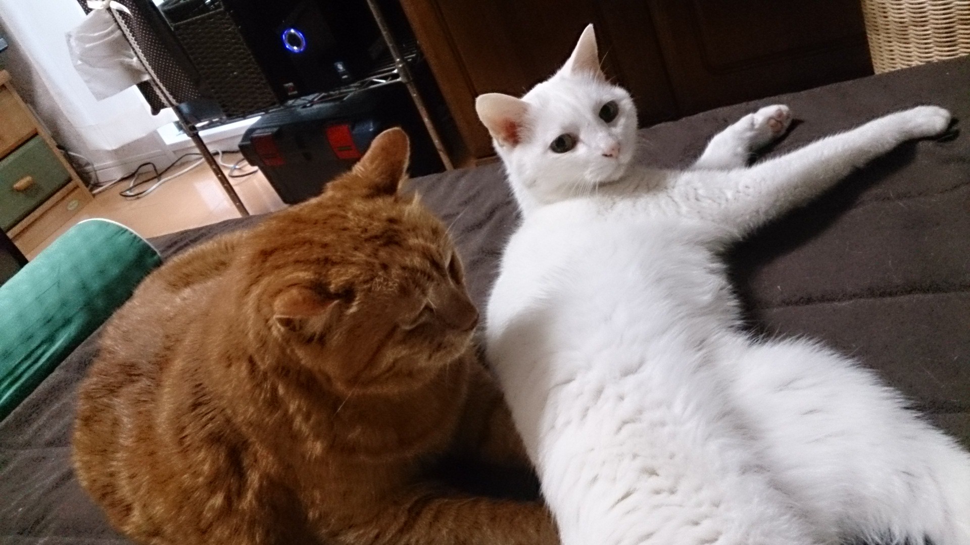 金太先生さんのホーム