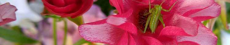 tuguさんのホーム