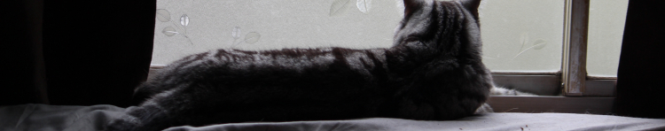 なんちゃって親父さんのホーム