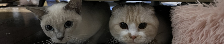 くさまさんのホーム