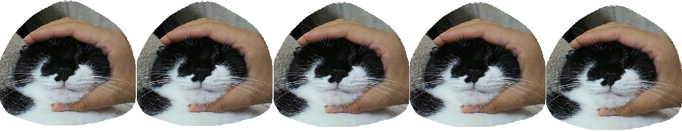 四十雀さんのホーム