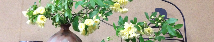 キョンタさんのホーム