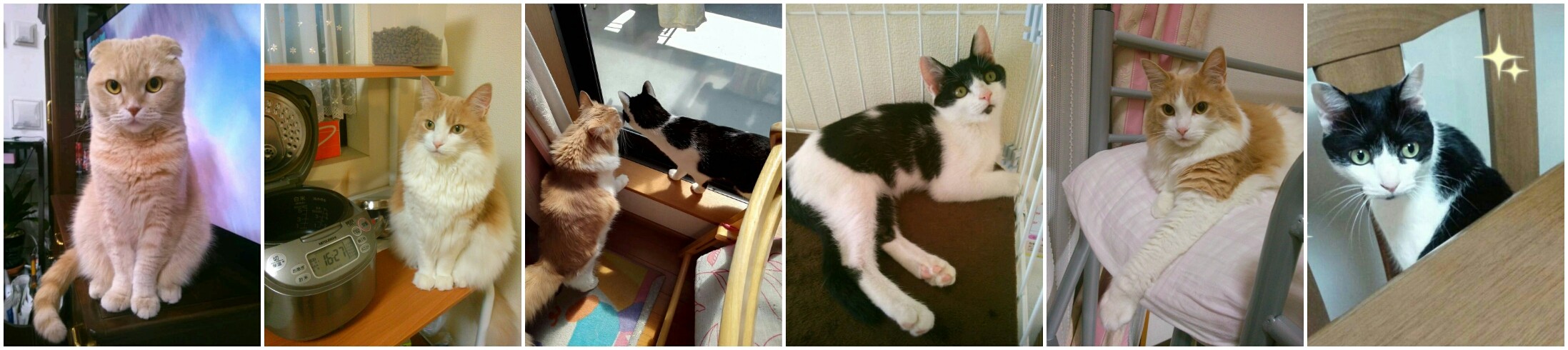 めいななさんのホーム