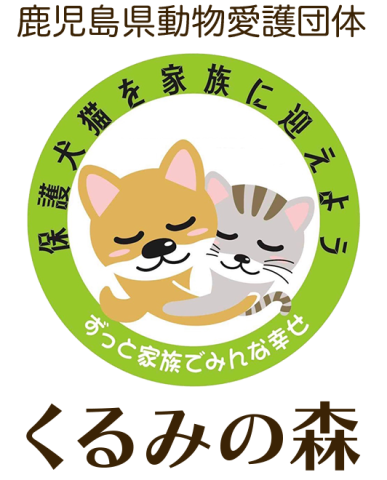 鹿児島＠保護猫活動ボランティア募集です！