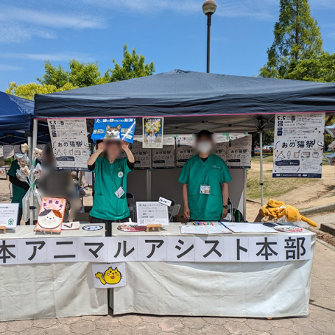 【尾道】【実績あり】野良猫問題・保護活動会員メンバー募集